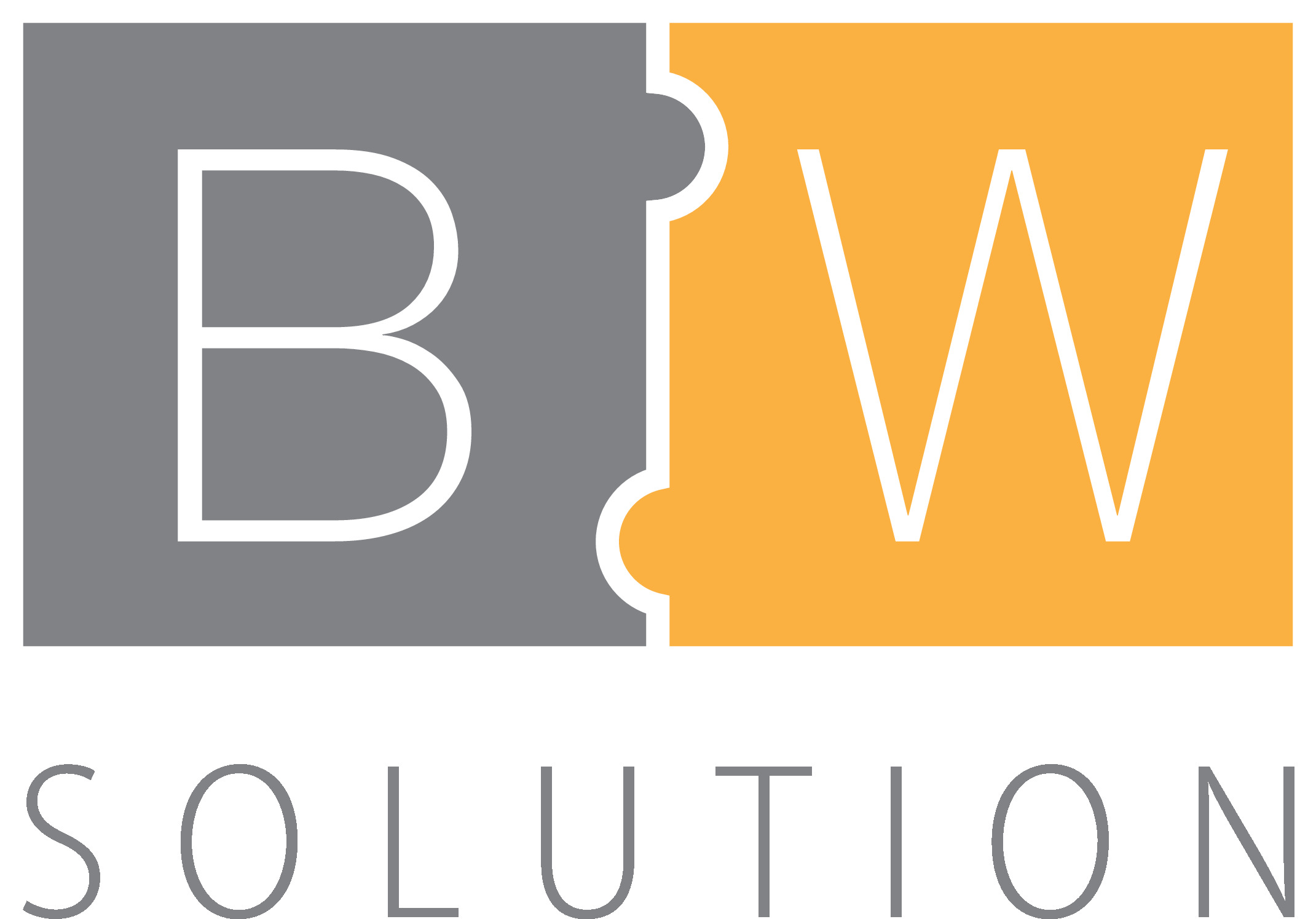 BWSolution GmbH (CarLiner)

